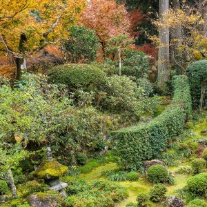 Autumn landscape in Japanese garden